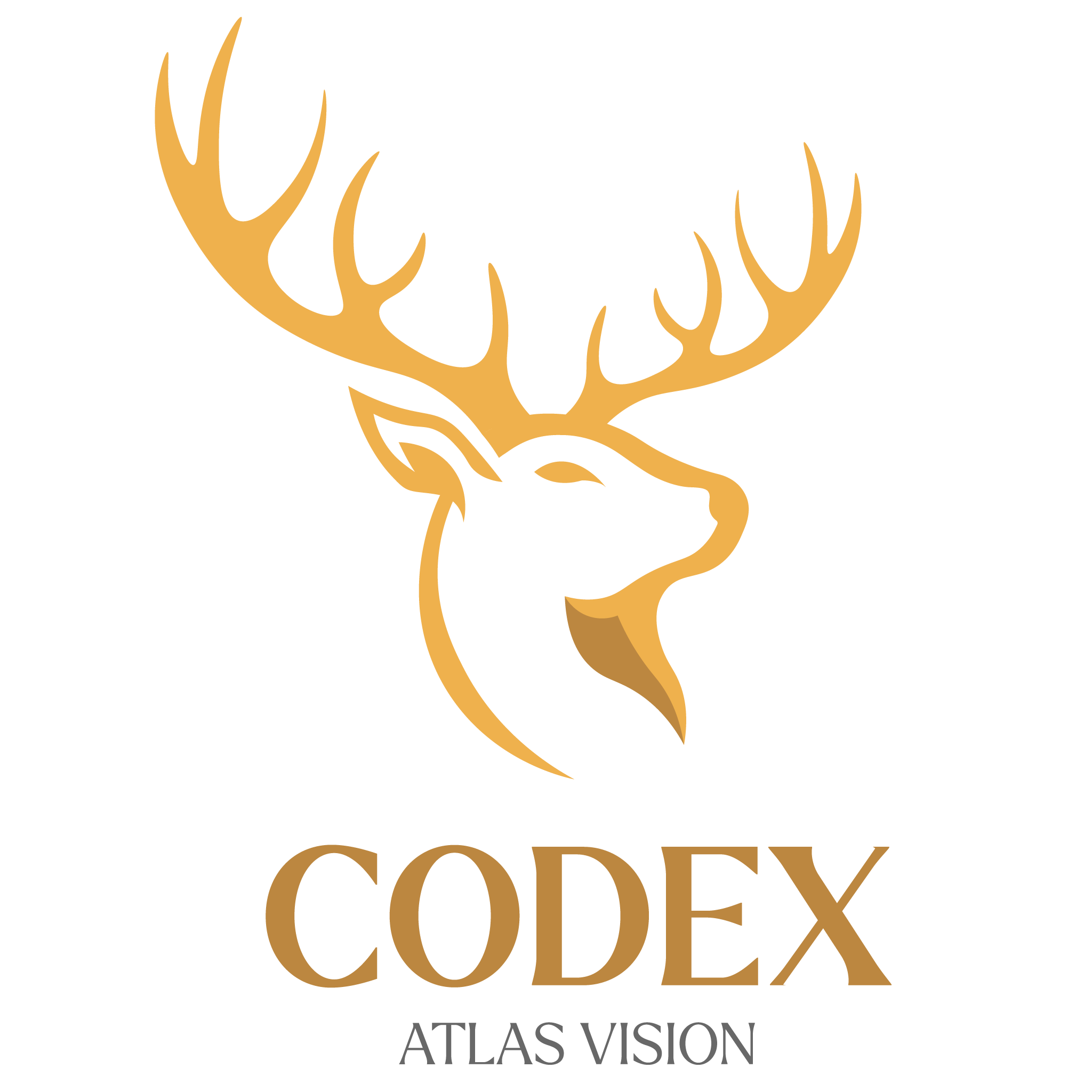 Codex Atlas Vision